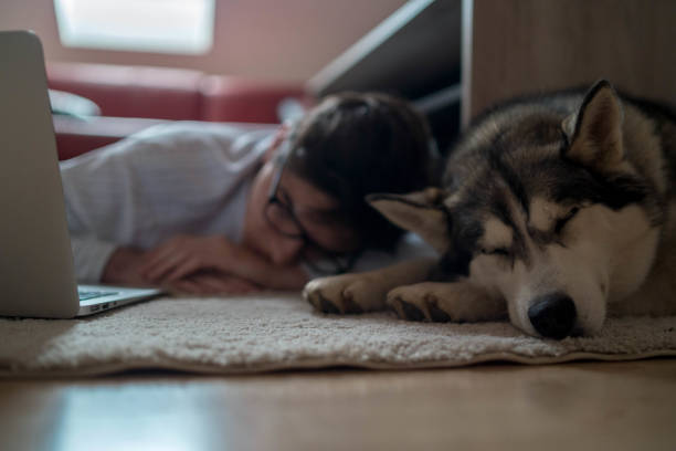 istock Young man sleeping in front of laptop while lying on the floor 1298731715