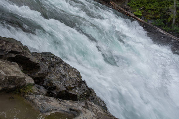 istock Close up of river rapids 1298739482