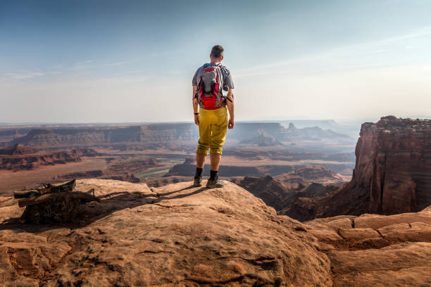 Hiker enjoying the view in the Dead Horse Point State Park Hiker enjoying the view in the Dead Horse Point State Park kayenta photos stock pictures, royalty-free photos & images