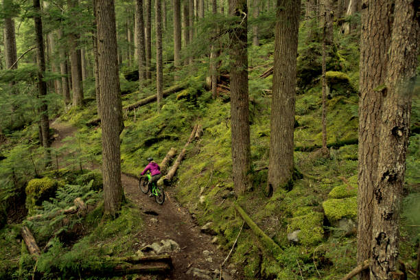 kobieta kolarstwo górskie przez pacific west coast lasów deszczowych. - british columbia rainforest forest canada zdjęcia i obrazy z banku zdjęć