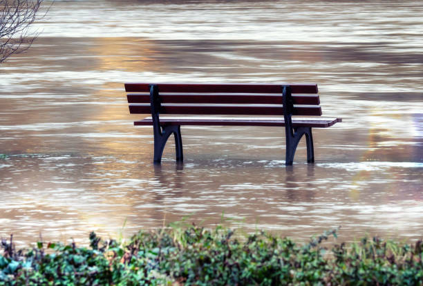 istock Bench is standing in the water 1298742167