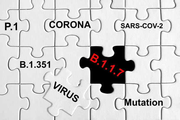istock Puzzle with different Corona Virus Variants. Sars-cov-2, P.1, B.1.1.7, B.1.351 1298742181