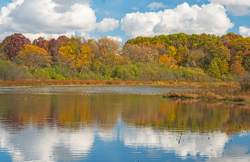 October Colors on a Wetland Pond in Volo Bog State Natural Area in Illinois
