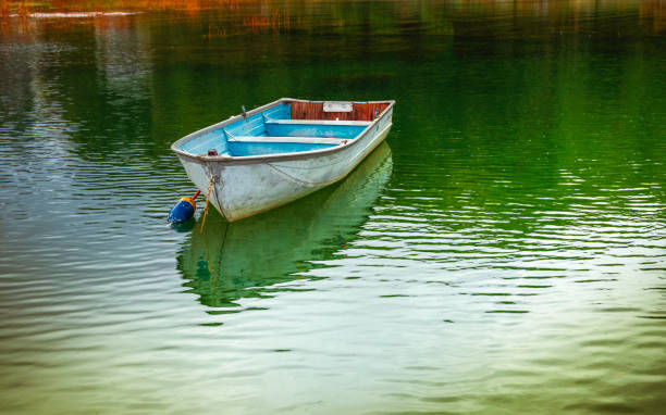 un solo bote de remos de madera pintado en blanco y azul o dingy flotando en una boya sobre aguas verdes vívidas con el reflejo de las hierbas de agua naranja - sea water single object sailboat fotografías e imágenes de stock