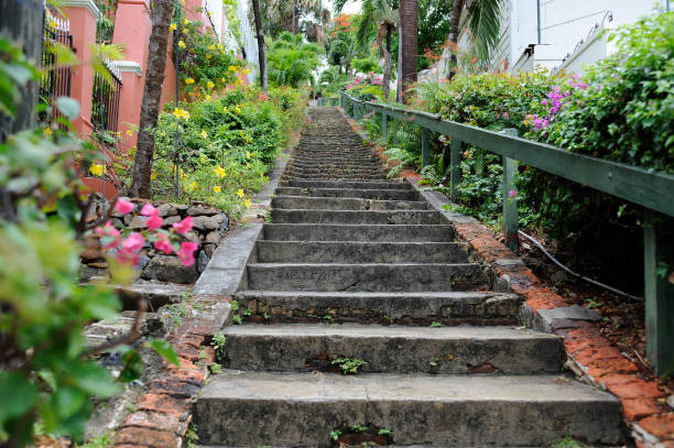 99 steps in Charlotte Amalie, U.S. Virgin Islands sunny day, view from bottom showing stairs upward, flowers on both sides of steps, no people st. thomas virgin islands photos stock pictures, royalty-free photos & images