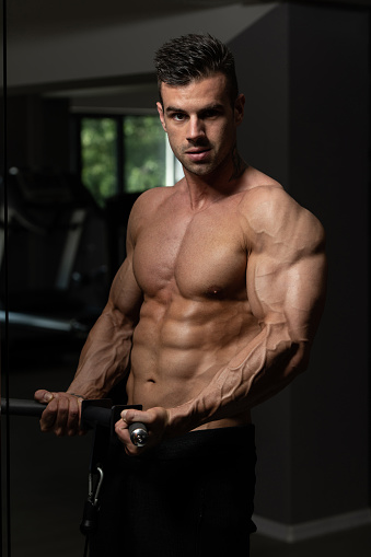 Bodybuilder Exercising Biceps Stock Photo - Download Image Now - Muscular  Build, Portrait, Bicep - iStock