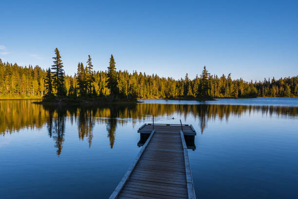 istock Mount Washington Paradise Meadows Lake 1298760315