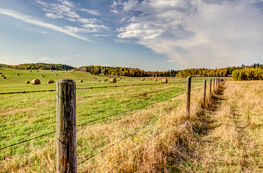 Rural scenery in ranchlands of the Alberta foothills