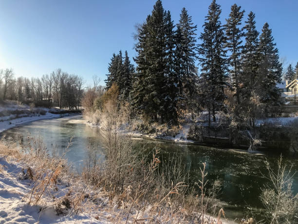 istock Views along the Elbow River at Stanley Park in Calgary in the winter 1298772097