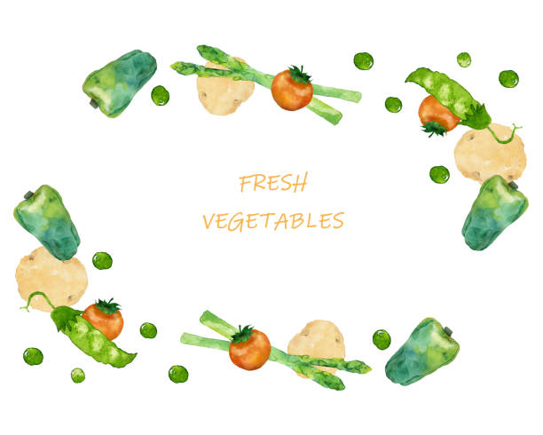 ilustraciones, imágenes clip art, dibujos animados e iconos de stock de marco de verduras frescas - healthy eating green pea snow pea freshness