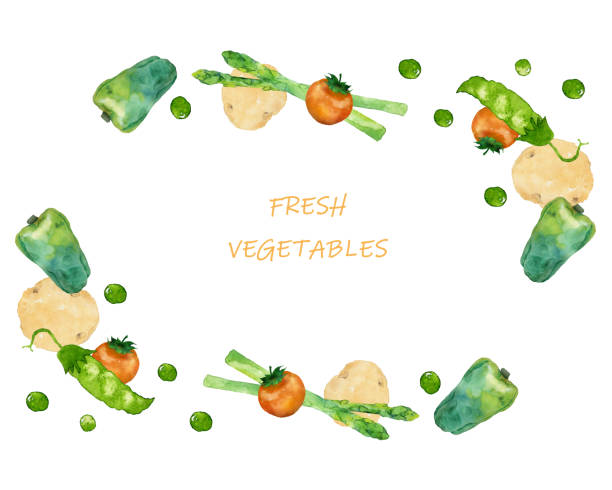 신선한 야채 프레임 - healthy eating green pea snow pea freshness stock illustrations