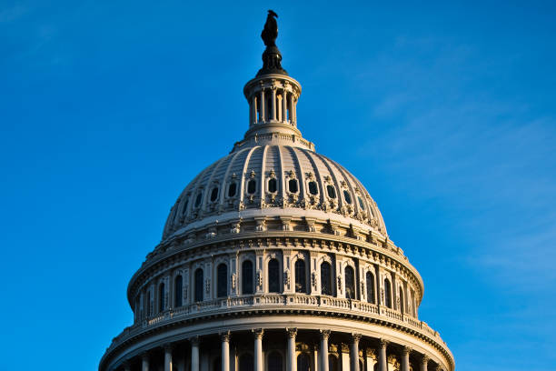 istock Capitol Hill & Politics 1298776464