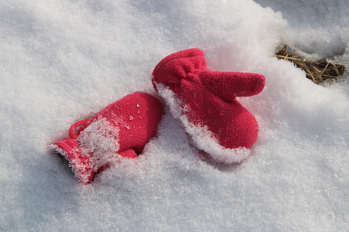 Pair of bright hot pink mittens left in the snow
