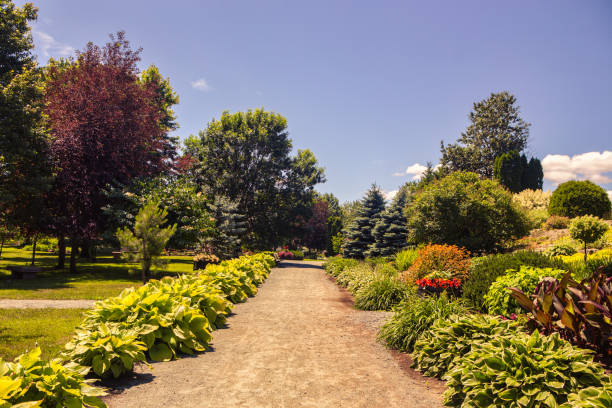 istock Lovely Garden at Rouyn ( Quebec ) With Footpath 1298789559