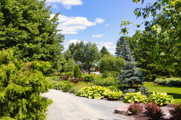istock Lovely Garden at Rouyn ( Quebec ) With Footpath 1298789679