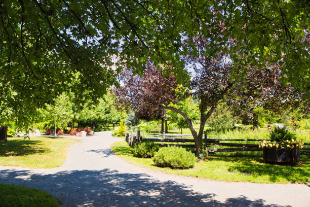istock Lovely Garden at Rouyn ( Quebec ) With Footpath 1298789682