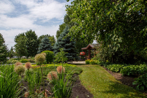 istock Lovely Garden at Rouyn ( Quebec ) With Footpath 1298791169