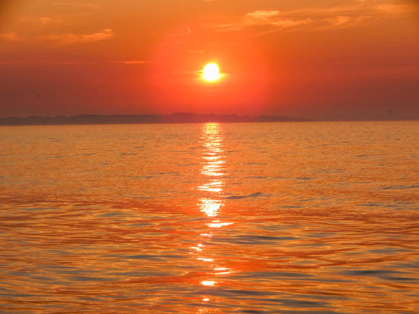 istock Sunset on the Baltic Sea coast 1298794492