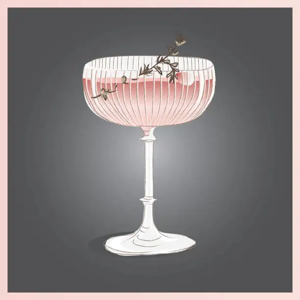 Vector illustration of elegant cocktails in coupe glass in sketch style vector illustration