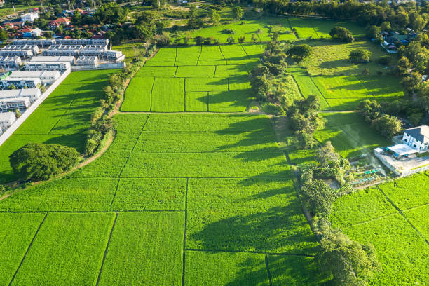 istock Land plot and green field in aerial view. 1298805338