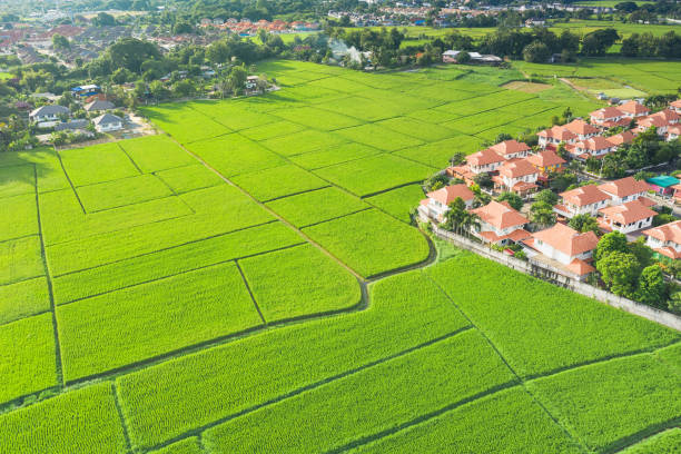 istock Aerial of land plot and housing subdivision or development. 1298805339