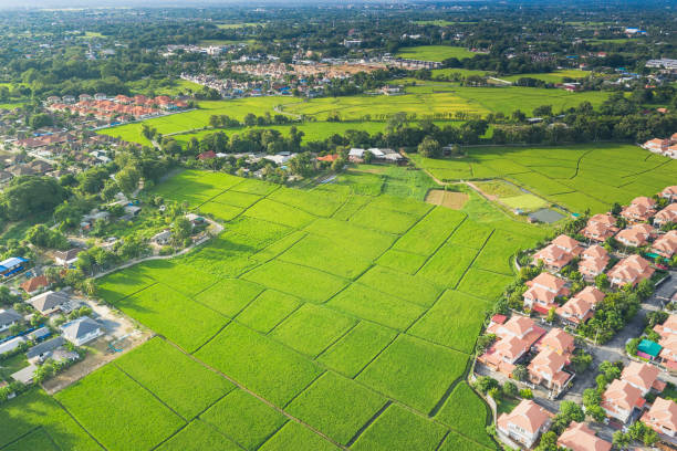 istock Aerial of land plot and housing subdivision or development. 1298805344