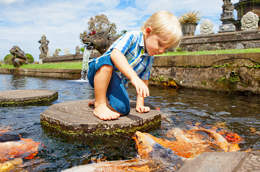 Happy kids walk with fun by pond stepping stones, feeding golden koi fishes in Tirta Gangga garden with natural water pools. Culture, arts of Bali, popular travel destination in Indonesia.