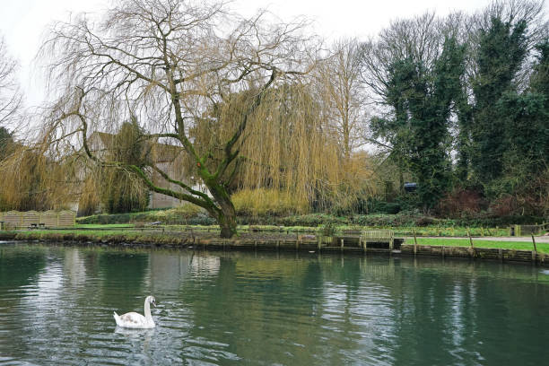 exterior architecture and building design at bibury trout farm in cotswold village - trout fishing imagens e fotografias de stock