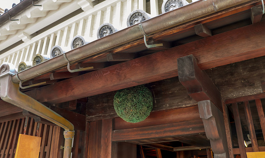 Ceder ball hanging under the eaves of Japanese wooden building