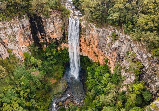 purlingbrook falls, parque nacional springbrook - rainforest waterfall australia forest fotografías e imágenes de stock