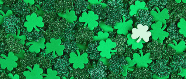 Shamrock confetti texture background banner with green and white lucky clovers