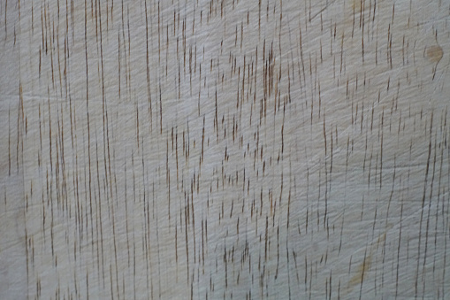 Old cutting board texture. Natural wood material