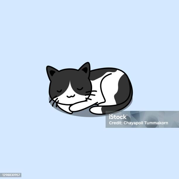 Bonito desenho animado gatos conjunto imagem vetorial de ennona