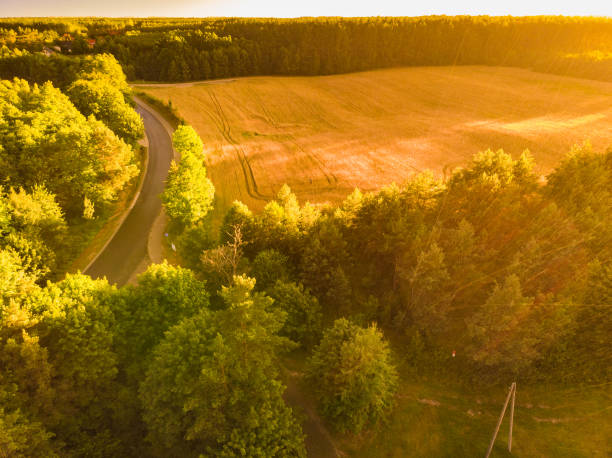 istock Rainy weather. Field and forest, aerial view 1298832536