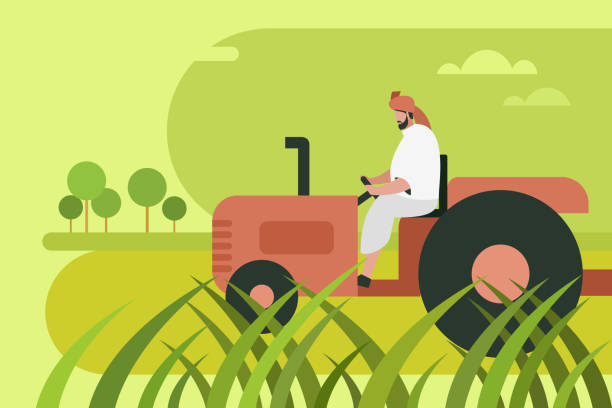 농업 분야에서 트랙터를 운전하는 인도 농부 - agriculture farm people plow stock illustrations