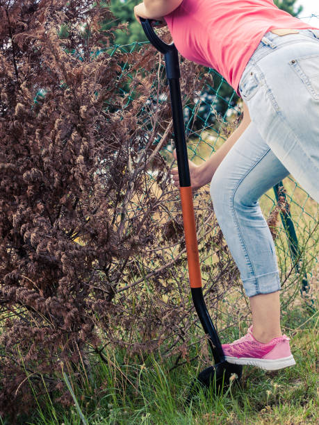 istock Woman digging hole in garden 1298833891