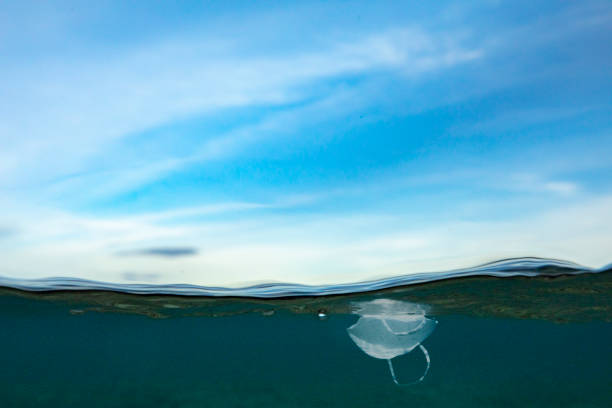 istock Face mask pollution in the clear blue pacific ocean and sunny blue sky 1298834257