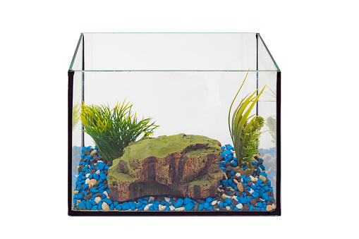Fish tank aquarium with no water and fish on white background. Empty fishbowl. Nobody