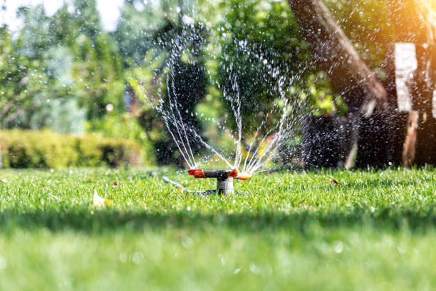 istock Landscape automatic garden watering system with different rotating sprinklers installed on turf. Landscape design with lawn and fruit garden irrigated with smart autonomous sprayers at sunset time 1298836846