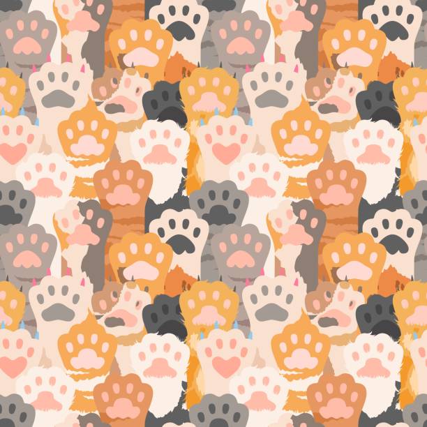 Cats paw pattern. Cute kitten foot background. Pets, wild animal vector seamless texture Cats paw pattern. Cute kitten foot background. Pets, wild animal vector seamless texture. Illustration mark paw cat or dog, repeat feline pattern kitten wallpaper stock illustrations