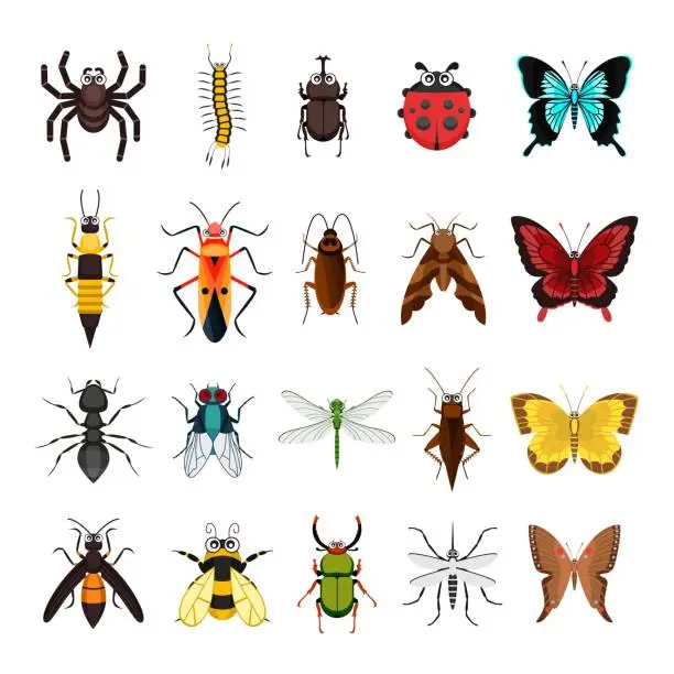 Vector illustration of Set of insects animal collection vector illustration isolated on white background