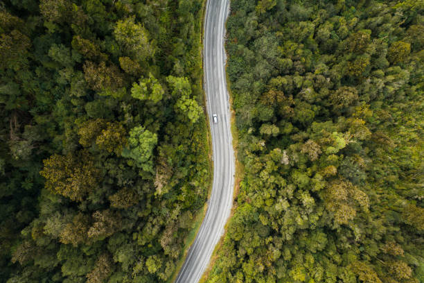 Aerial view of travelling in forest. The aerial view of travelling through the native forest. drone point of view road stock pictures, royalty-free photos & images