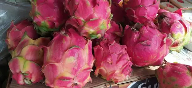 Close up fresh dragonfruit