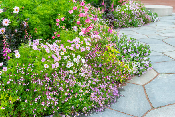 istock Lavish Flowerbeds in Botanical garden 1298848576