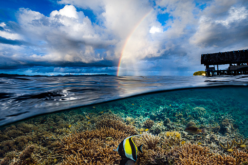 Tropical storm with rainbow split image with tropical fish and coral reef below