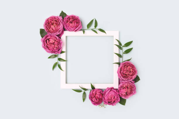 istock Square flower frame made of pink rose on a blue pastel background. 1298851609