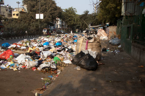 istock Garbages lying along the road side 1298851953
