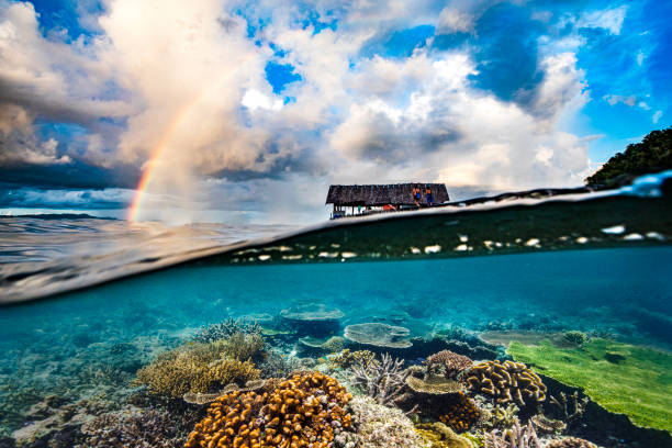 photo of the beach in Kalimantan, Berau