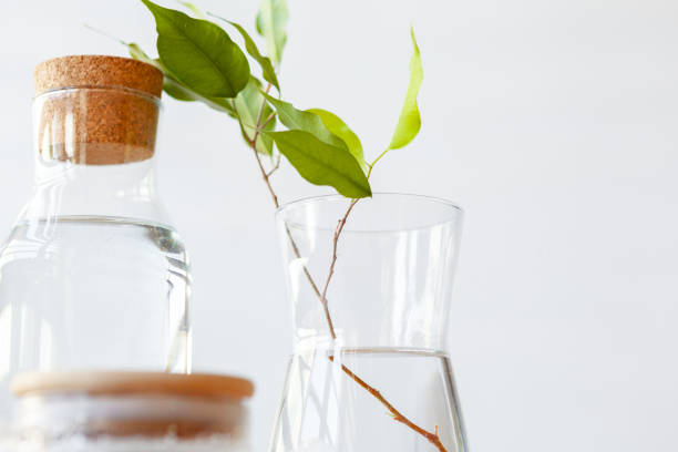 istock Close up of a glass bottleneck with liquid 1298856424