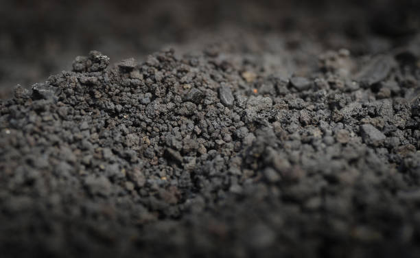 istock Pumice stone for aquarium 1298857449